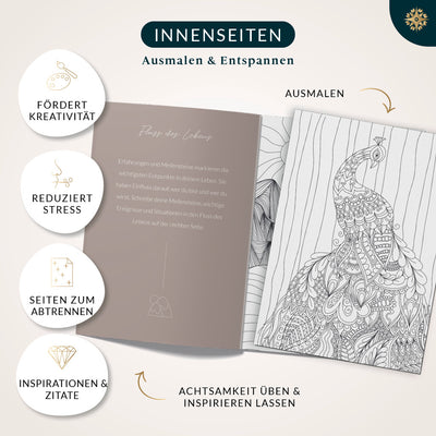 "Kreativer Kopf" - Sparbundle zum Malen